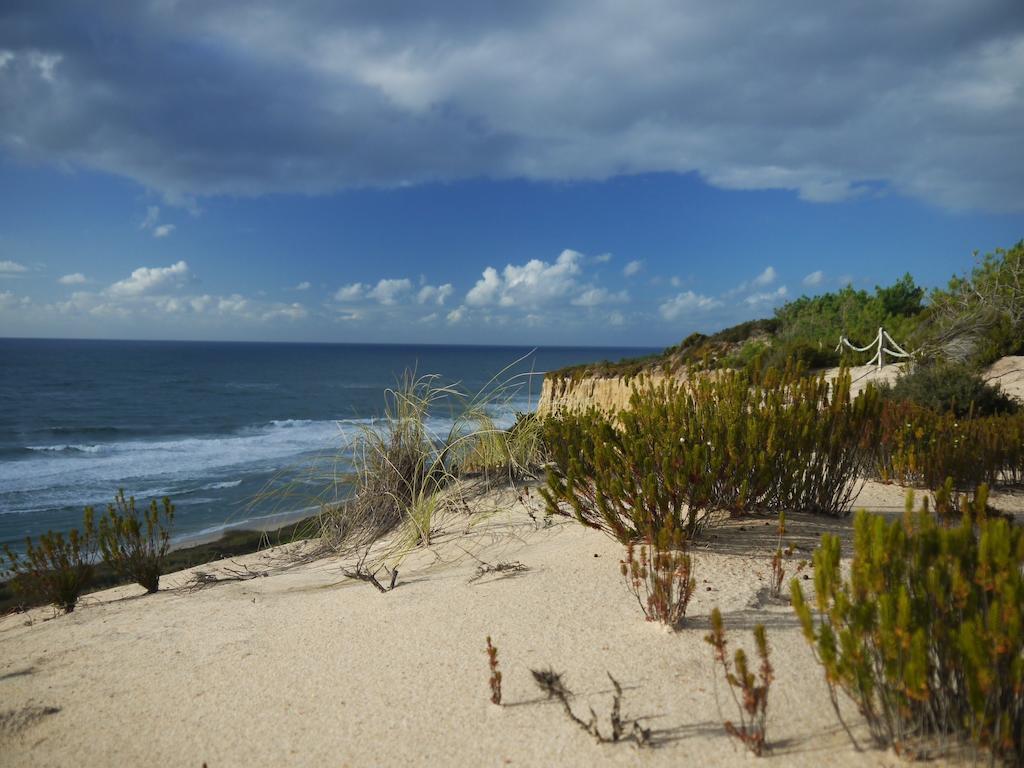Bed & Seaside Apartment Nazare